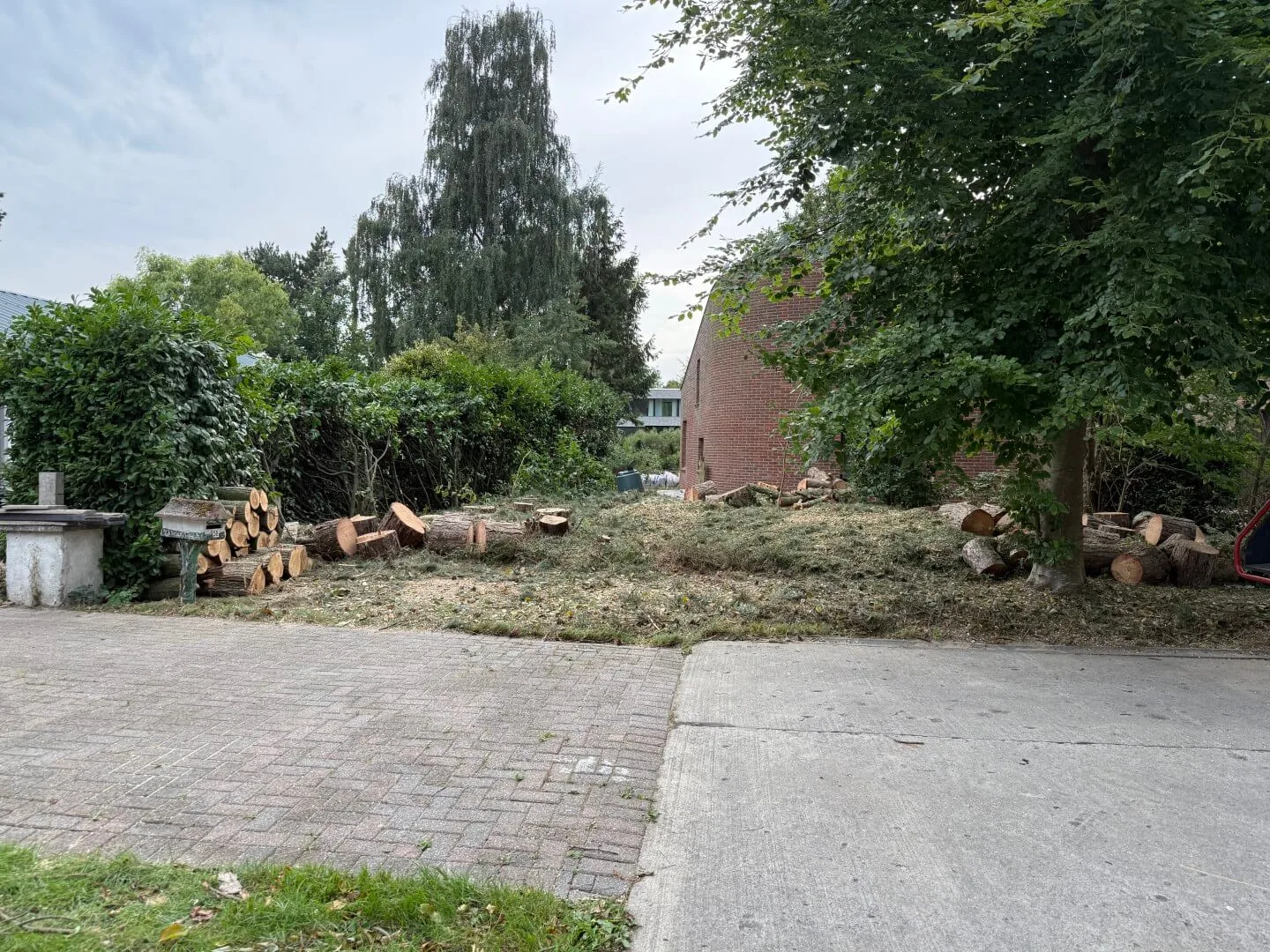 Bomen vellen Aalter 1