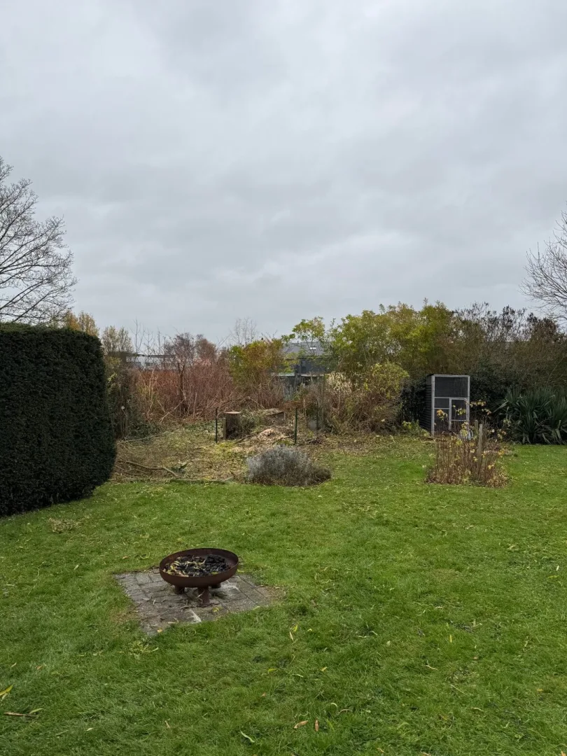 Bomen vellen Wichelen Moeststraat 2