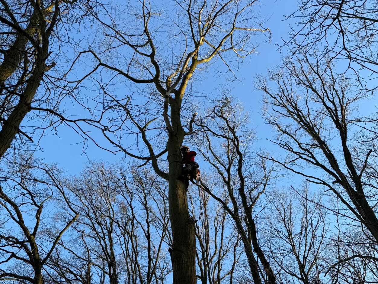 Tuinonderhoud volledig op maat Tuinonderhoud volledig op maat