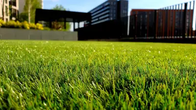 Tuinonderhoud Tuinonderhoud