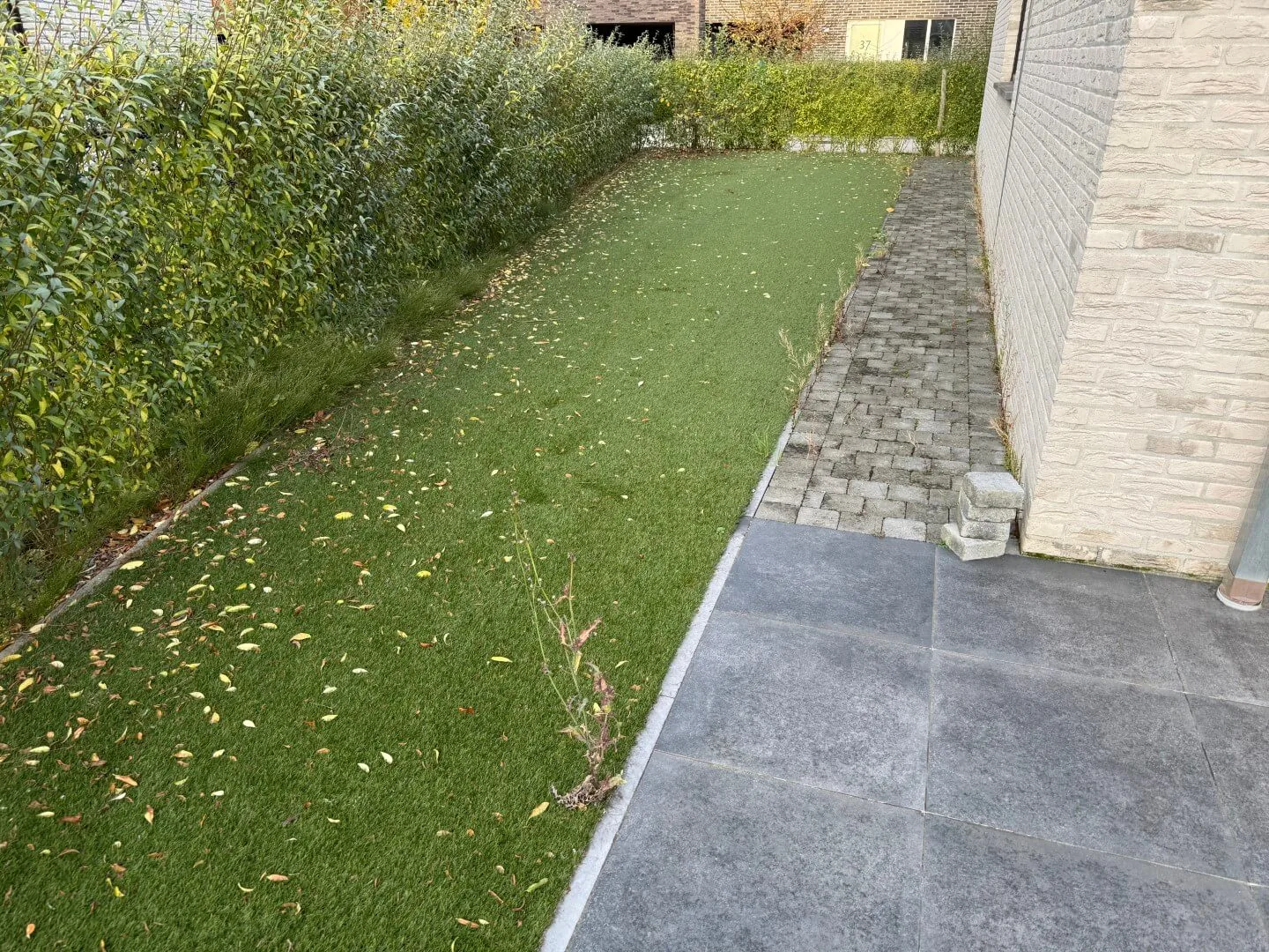 Tuinonderhoud Aalst Sleedoorn