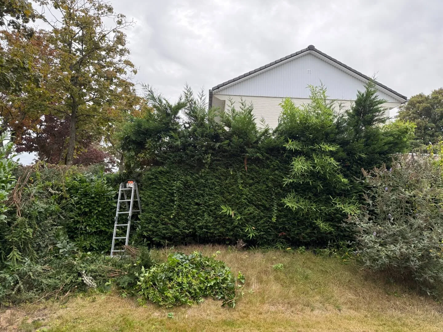 Tuinonderhoud Aalst