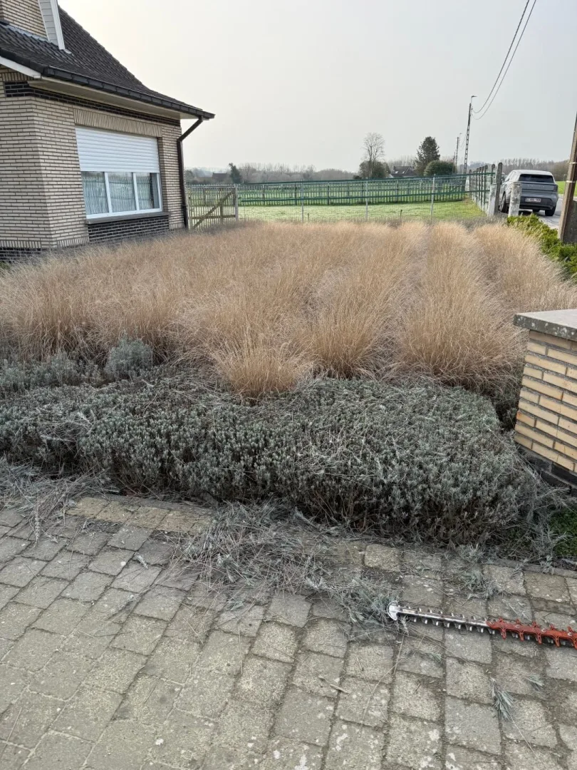 Tuinonderhoud Berlare 1