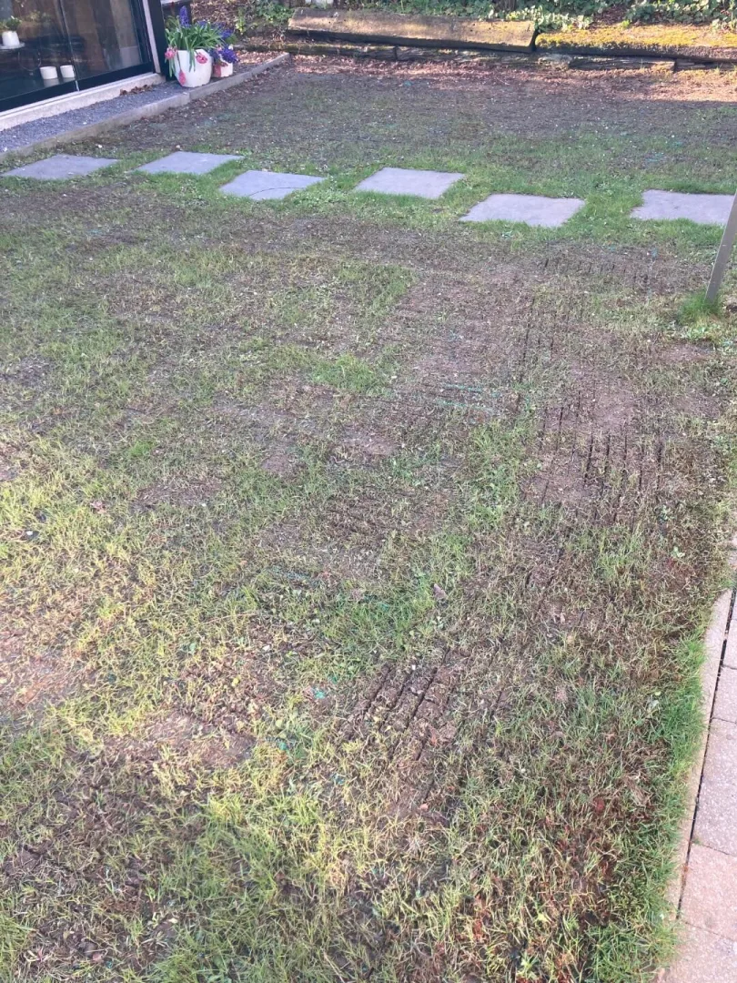 Tuinonderhoud Lebbeke Meysveld Verticuteren 3