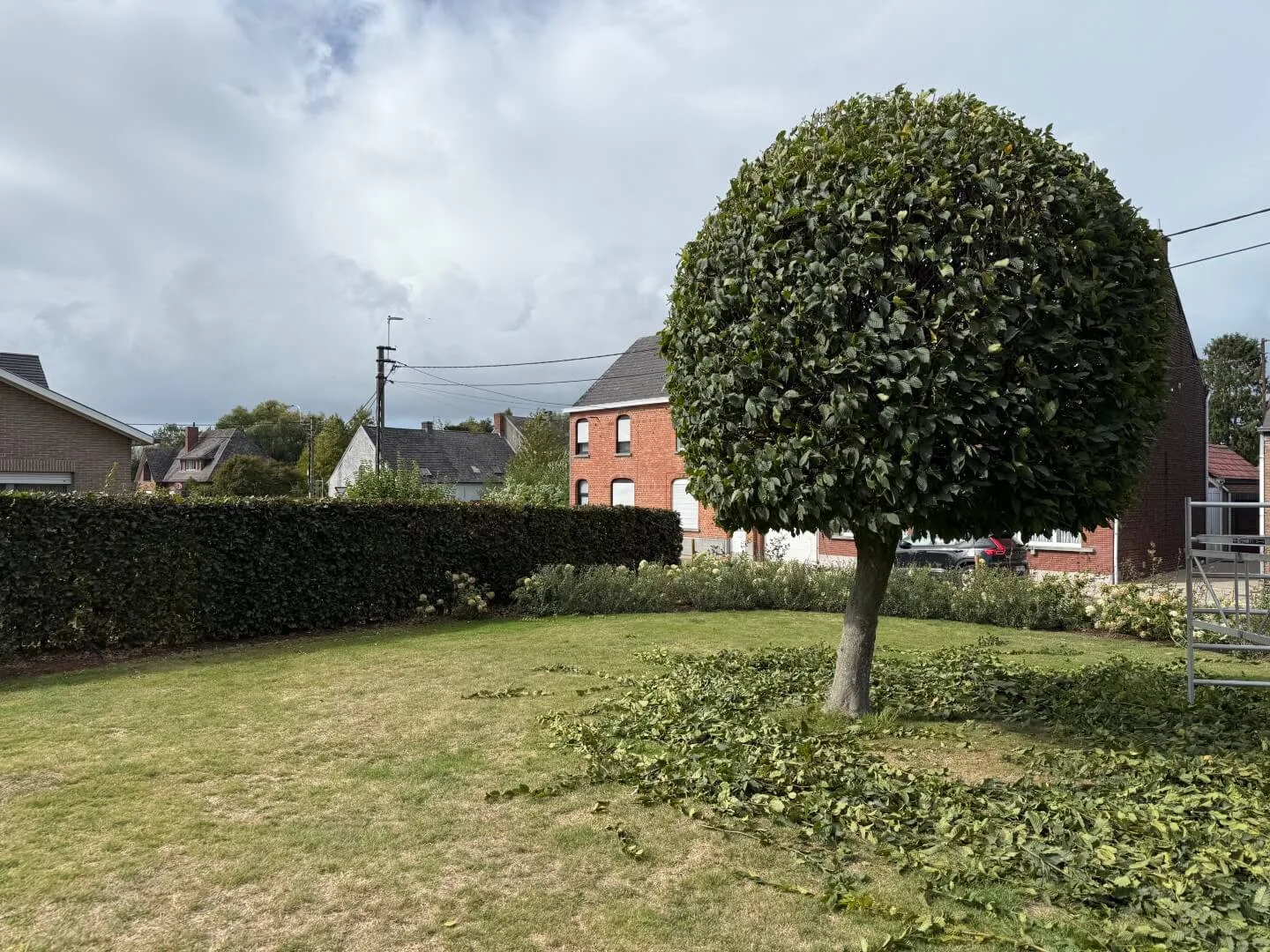 Tuinonderhoud Lede Heiplasweg 1