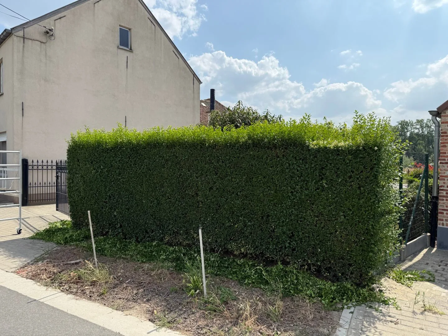 Tuinonderhoud Wichelen Boeygem